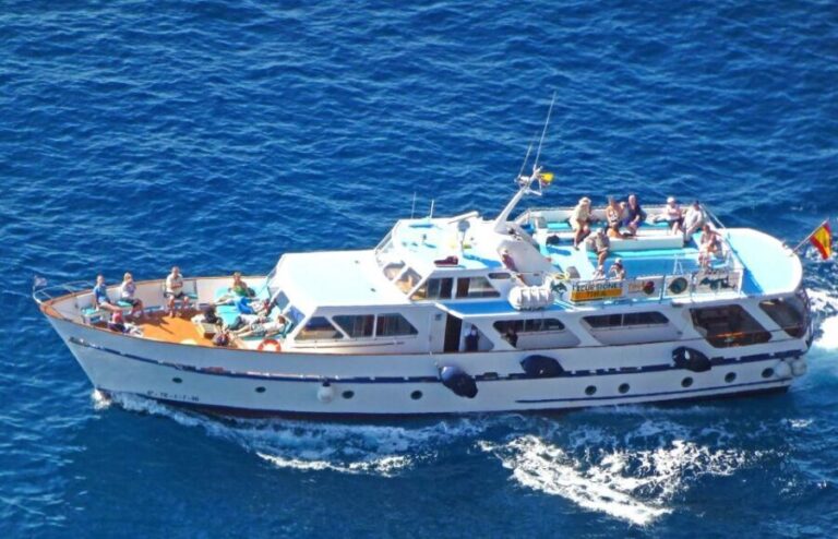 La Gomera: Whale Watching Tour on an Vintage Boat - Authentic Guest Perspectives