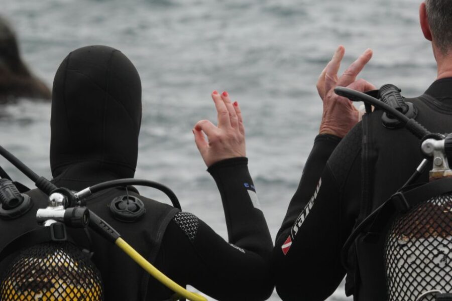La Palma: Basic Diver Certification with 2 Atlantic Dives - Authentic Insights from Reviews