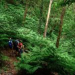 La Palma: Guided Trekking Tour To Cubo de la Galga - Who Will Love This Tour?