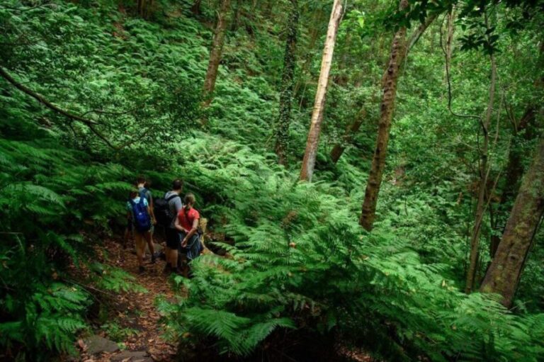 La Palma: Guided Trekking Tour To Cubo de la Galga - Who Will Love This Tour?