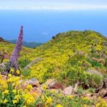 La Palma: Guided Trekking Tour to El Roque de los Muchachos - Exploring the Itinerary in Detail