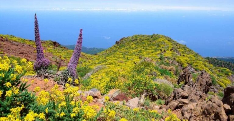 La Palma: Guided Trekking Tour to El Roque de los Muchachos - Exploring the Itinerary in Detail