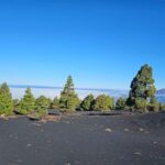 La Palma: Tour to the new Tajogaite volcano 360º. - Who Would Love This Tour?