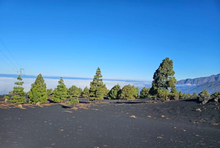 La Palma: Tour to the new Tajogaite volcano 360º. - Who Would Love This Tour?