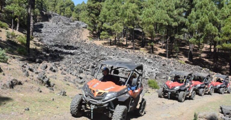La Palma: Volcano Route Buggy Tour - Crossing the Mountainous Landscapes