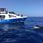 La Palma: Wildlife Viewing and Cumbre Vieja Boat Tour - Exploring the Coastal Highlights
