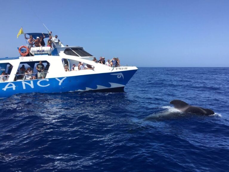 La Palma: Wildlife Viewing and Cumbre Vieja Boat Tour - Exploring the Coastal Highlights