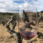 La Rioja Boutique Wine Tour & Charming Lunch (From Bilbao) - Final Thoughts: Who Will Love This Tour?