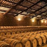 La Rioja: Guided visit to CVNE Winery and wine tasting - The Tasting Experience