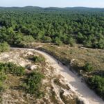 La Tremblade: Hiking in the Forêt Domaniale de la Coubre - The Hiking Experience: What to Expect