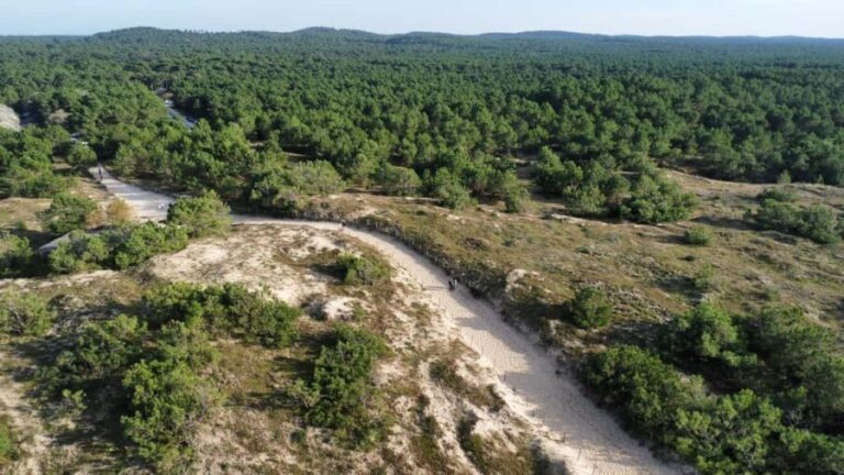 La Tremblade: Hiking in the Forêt Domaniale de la Coubre - The Hiking Experience: What to Expect