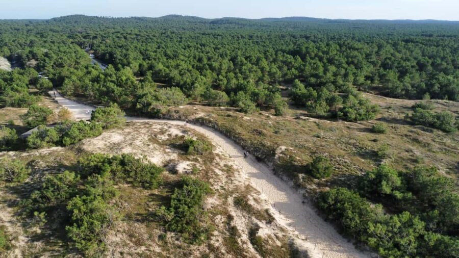 La Tremblade: Hiking in the Forêt Domaniale de la Coubre - The Hiking Experience: What to Expect