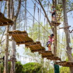 La Tremblade: Oasalis Parcours Adventure Park Entry - The Sum Up