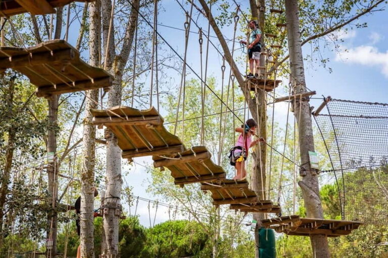 La Tremblade: Oasalis Parcours Adventure Park Entry - The Sum Up