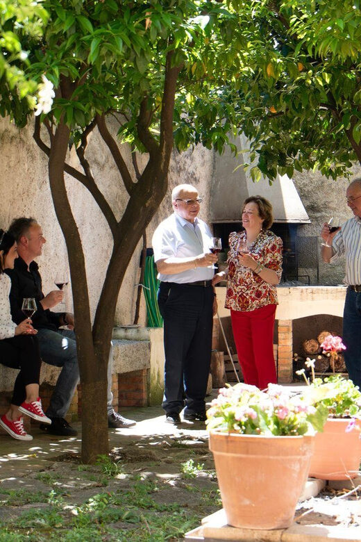 Laconi: visit a winery with wine tasting - Who Would Love This Experience?