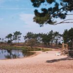 Lagoa da Ervedeira E-bike and Stand Up Paddle tour - What’s Included and What’s Not