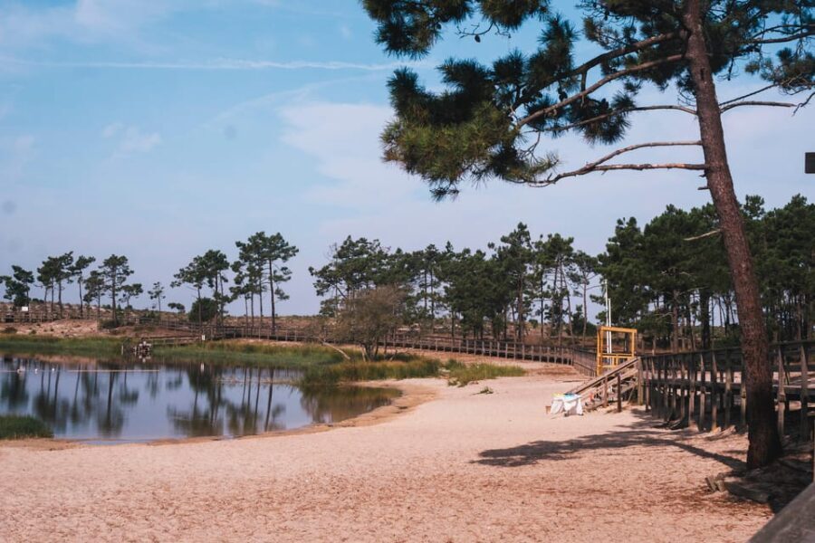 Lagoa da Ervedeira E-bike and Stand Up Paddle tour - What’s Included and What’s Not