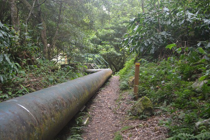 Lagoa do Fogo, Hike Salto do Cabrito and Hotsprings - Who Is This Tour Best For?