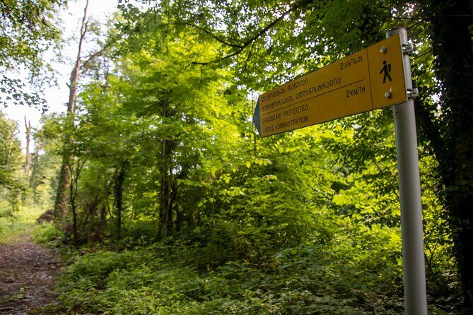 Lagodekhi - A day hiking from Tbilisi - Who Is This Tour Best For?