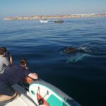 Lagos: 2-Hour Evening Champagne Cruise - Who Should Consider This Experience?