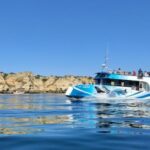 Lagos: Dolphin Watching Half-Day Cruise & Water Activities - The Voyage: Dolphin Watching