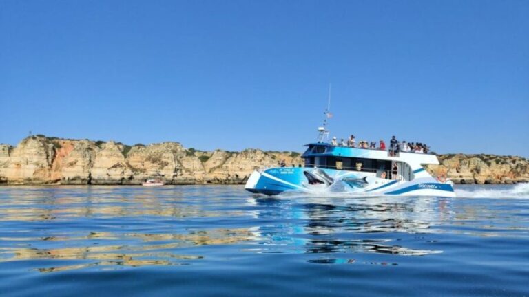 Lagos: Dolphin Watching Half-Day Cruise & Water Activities - The Voyage: Dolphin Watching