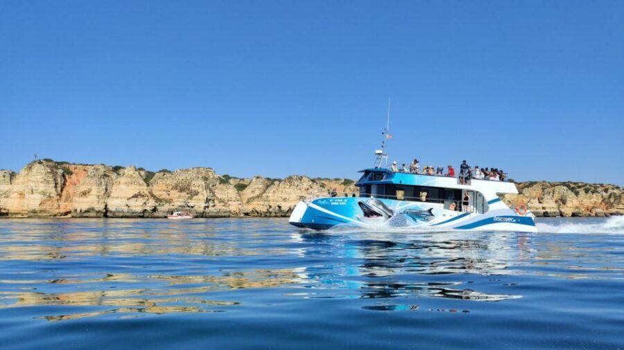 Lagos: Dolphin Watching Half-Day Cruise & Water Activities - The Voyage: Dolphin Watching