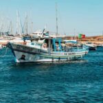 Lagos Lunch Coastal Cruise - Practical Tips for Your Trip