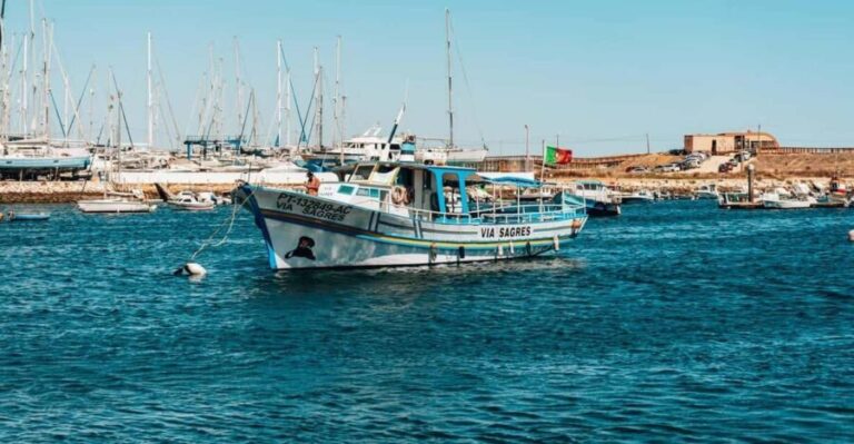 Lagos Lunch Coastal Cruise - Practical Tips for Your Trip