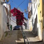 Lagos: Old Town, New Town, and Beaches Tuk Tuk Tour - Who Will Love This Tour?