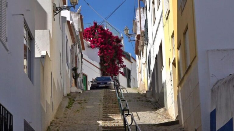 Lagos: Old Town, New Town, and Beaches Tuk Tuk Tour - Who Will Love This Tour?