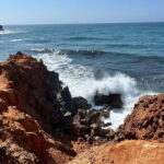 Lagos: Party - UMM Safari-Beer-Tour to the West-Coast - Scenic Highlights and Unique Stops