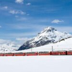 Lake Como cruise, St.Moritz and Bernina Red Train - Transportation and Logistics