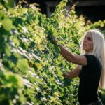 Lake Garda: Corvina Wine Tasting with Vineyard Walk - Analyzing the Value