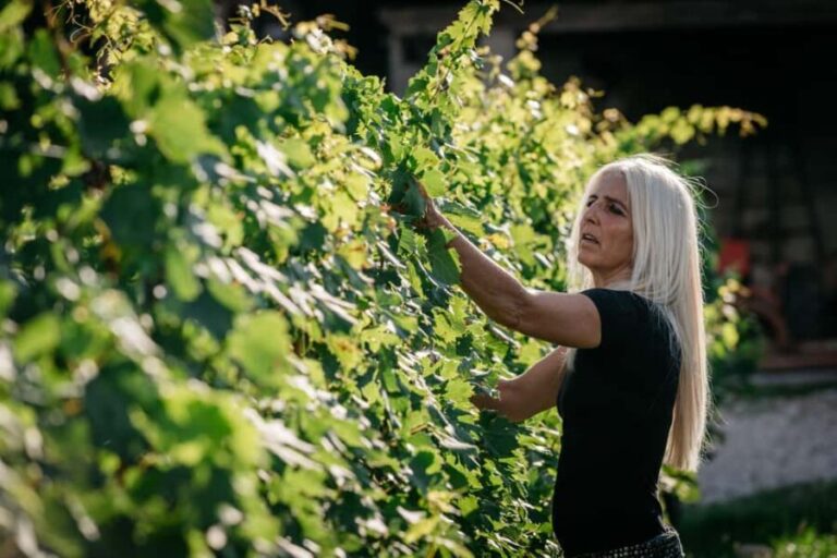 Lake Garda: Corvina Wine Tasting with Vineyard Walk - Analyzing the Value