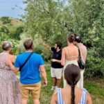 Lake Garda: Tour with 4 Olive Oil Tasting & Local Food - Who Should Avoid This Experience?