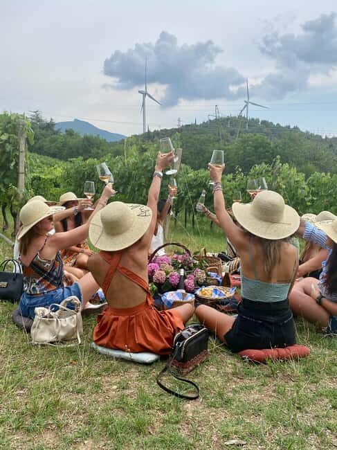 LAKE GARDA: VINEYARD AND WINERY TOUR - The Vineyard Tour