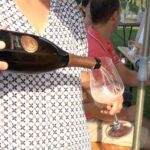 Lake Garda: Wine and Food Tastings in the Vineyards - Why This Tour Offers Great Value