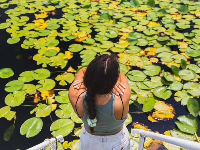 Lake Skadar: Visit the Montenegrin Venice - The Itinerary in Detail