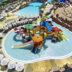 Land of The Legend (tranfer ) - Authentic Insights from Reviewers