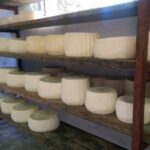 Land Rover Safari Minoan Route with driver and lunch - Practical Details and What You Should Know