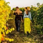 Langhe Wine & Food Tour from Turin: Barolo and More - FAQ