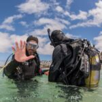 Lanzarote: 2-dive package in Playa Blanca - certified divers - Why We Think This Tour Offers Good Value