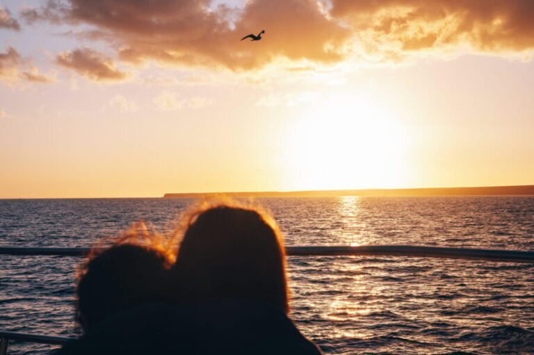 Lanzarote: Dolphin-Watching Sunset Cruise with Transfers - Detailed Breakdown of the Itinerary