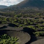 Lanzarote: Full Day Bus Tour with Scenic Views - Authentic Experiences That Enhance the Tour