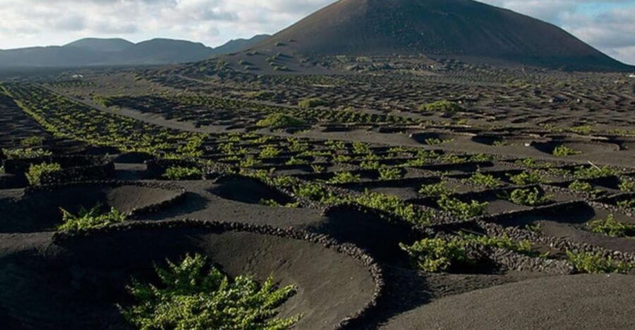 Lanzarote: Full Day Bus Tour with Scenic Views - Authentic Experiences That Enhance the Tour