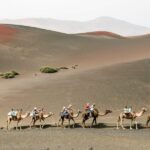 Lanzarote: Timanfaya National Park Volcanic Craters Tour - What Makes This Tour Stand Out?