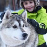 Lapland Husky Safari from Saariselkä - Practical Tips and Considerations