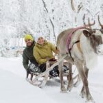 Lapland Reindeer and Husky Safari from Levi - The Value for Money