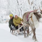 Lapland Reindeer Safari from Rovaniemi - FAQs